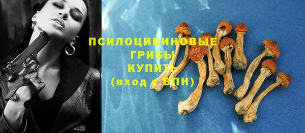 мяу мяу мука Алексеевка